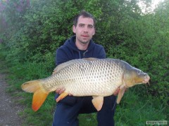Kapr 79cm-9kg