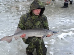 Kliknutím fotografii zvětšíte Skalička 19.12.2010