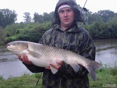 Kliknutím fotografii zvětšíte Amur 85cm,10kg