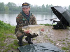 Kliknutím fotografii zvětšíte amur 76cm na feeder
