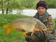 Kliknutím fotografii zvětšíte kapr 75cm na feeder