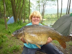 Kliknutím fotografii zvětšíte kapr 90 cm 17kg