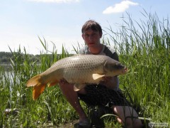 86cm 10,50kg