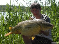 87cm 12,10kg