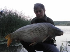 90cm  14,00kg