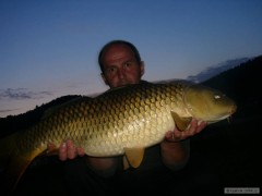 Kliknutím fotografii zvětšíte 82cm,šupoš