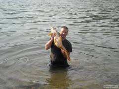 Kliknutím fotografii zvětšíte carp