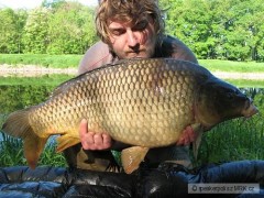 Kliknutím fotografii zvětšíte Kapr 12kg 2.