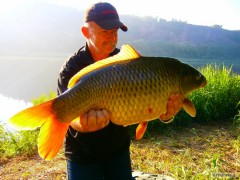 Kliknutím fotografii zvětšíte KAPR-9KG-PELZER-RRP-ELEMENT PROTON