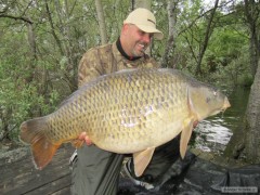 Kliknutím fotografii zvětšíte kapr 20.5kg