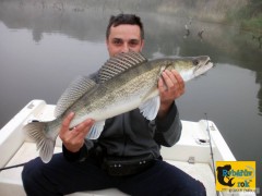 Kliknutím fotografii zvětšíte Candát Ebro květen 2011