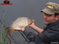 Kliknutím fotografii zvětšíte feeder