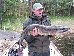 Kliknutím fotografii zvětšíte Nádhera ze Švédska - 110 cm