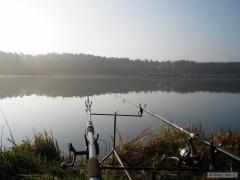 jarn� foto u vody