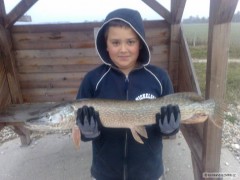 Kliknutím fotografii zvětšíte štika 8 kg