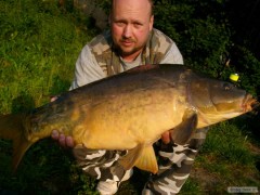 Kliknutím fotografii zvětšíte CARP LABE