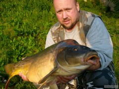 Kliknutím fotografii zvětšíte CARP LABE