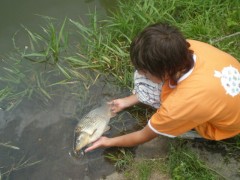 Kliknutím fotografii zvětšíte