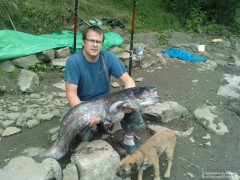 Kliknutím fotografii zvětšíte Sumec 130cm.