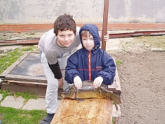 Kliknutím fotografii zvětšíte
