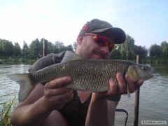 Tloušť 46cm