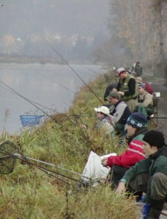 Kliknutím fotografii zvětšíte Feeder cup 3
