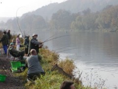 Kliknutím fotografii zvětšíte Feeder cup 6