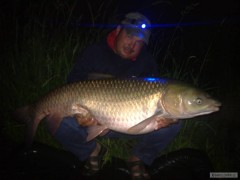 Amur 108cm-15,6kg