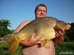 Kliknutím fotografii zvětšíte Kapřík z Labe
