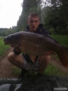 Kliknutím fotografii zvětšíte kapřík 13 kg labe