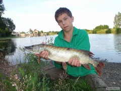 štika 63cm
