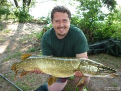 M�lice 16.6. 92cm