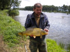 Labe 2011