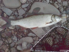 Dne�n� 59cm