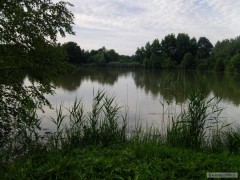 Kliknutím fotografii zvětšíte