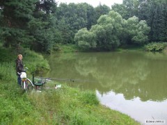 Na rybn�ku pod por�kou