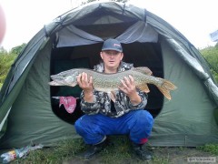 Kliknutím fotografii zvětšíte ŠTIKA 98cm,10kg....Lýsky 471207