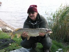 Kliknutím fotografii zvětšíte štika 70cm