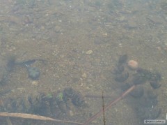 Kliknutím fotografii zvětšíte