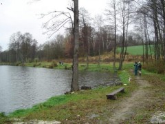 Kliknutím fotografii zvětšíte Pravá půlka rybníku