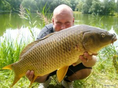 Kliknutím fotografii zvětšíte CARP