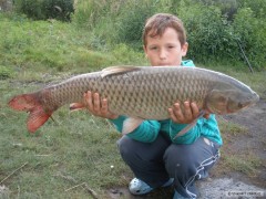 Kliknutím fotografii zvětšíte Amur (83cm)