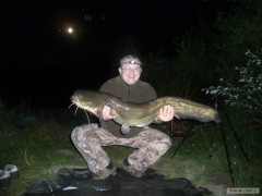 Kliknutím fotografii zvětšíte První sumík 2011