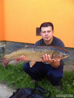 Kliknutím fotografii zvětšíte Amur 75cm