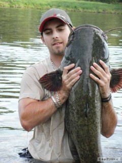 Kliknutím fotografii zvětšíte silurus 153cm 25kg
