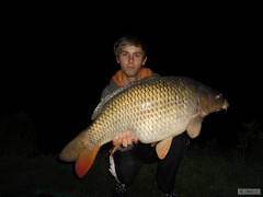 86-11kg