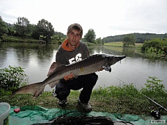Kliknutím fotografii zvětšíte 111-7kg