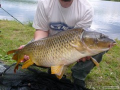 Kliknutím fotografii zvětšíte
