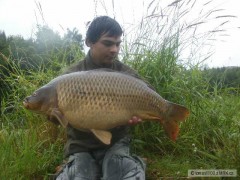78cm 10kg