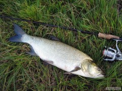 Lep�� bolen, dobojov�no...